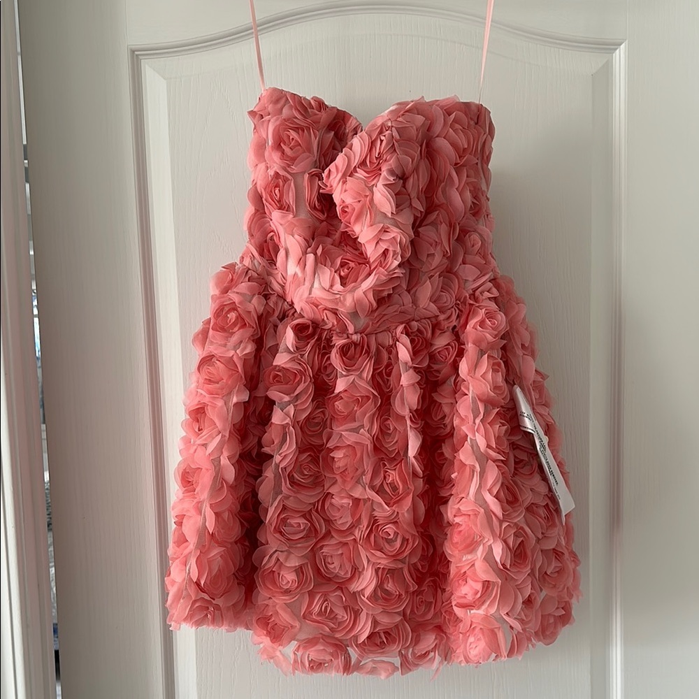 Dress the population rose dress